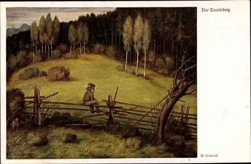 Künstler Ak Schiestl, Matthäus, Der Zaunkönig, Junge auf einem Zaun sitzend