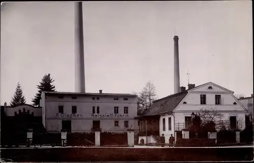 Foto Ak Głuchołazy Zdrój Bad Ziegenhals Schlesien, Holzstoff Fabrik A. Glogner, Papierfabrik