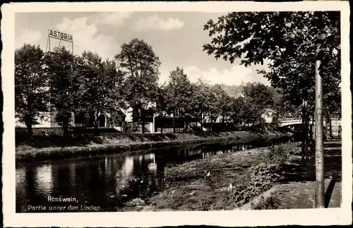 Ak Roßwein in Sachsen, Partie unter den Linden, Fluss, Astoria