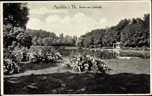 Ak Apolda in Thüringen, Am Lohteich, blühende Rosensträucher, Bootshaus