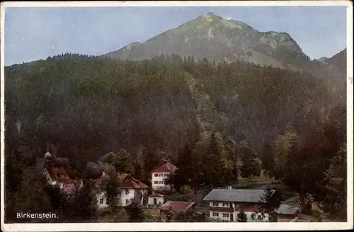 Ak Birkenstein Fischbachau in Oberbayern, Panoramaansicht vom Ort