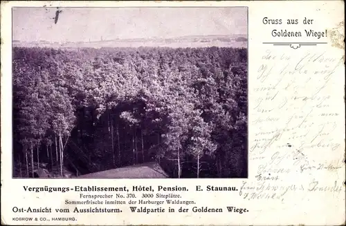 Ak Hamburg Harburg Heimfeld, Waldpartie i. d. Goldenen Wiege, Blick vom Aussichtsturm, Hotel Staunau