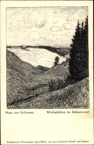 Künstler Ak Volkmann, Hans von, Wiesentälchen im Schwarzwald
