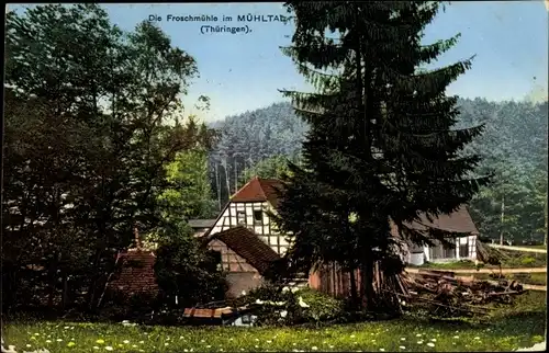 Ak Eisenberg in Thüringen, Froschmühle im Mühltal, Waldpartie