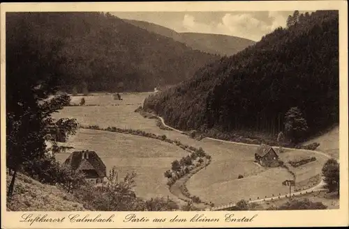 Ak Calmbach Bad Herrenalb im Schwarzwald, Partie aus dem kleinen Enztal, Panorama
