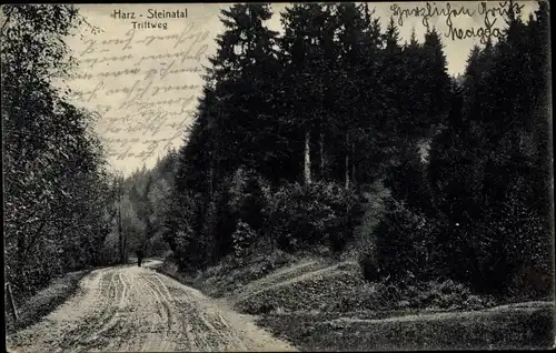 Ak Steinatal Bad Lauterberg im Harz, Triftweg, Waldpartie, Waldweg, Stengel