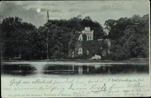 Mondschein Ak Biebrich am Rhein Wiesbaden, Die Moosburg im Park