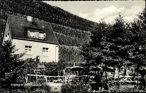 Ak Treis Karden an der Mosel, Gasthaus Zur Eltzstube, Außenansicht, Weinberg