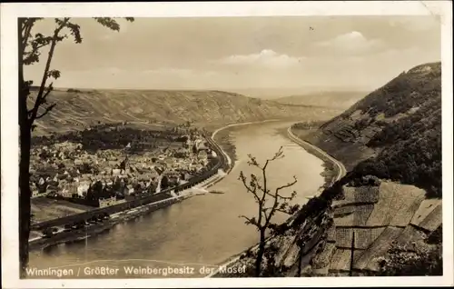 Ak Winningen an der Mosel, Panorama vom Ort mit Fluss, Weinberge