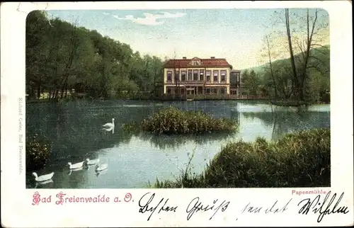 Ak Bad Freienwalde an der Oder, Papenmühle, Wasserpartie