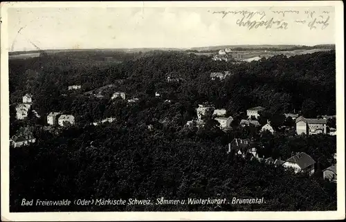 Ak Bad Freienwalde an der Oder, Brunnentalansicht, Waldpartie