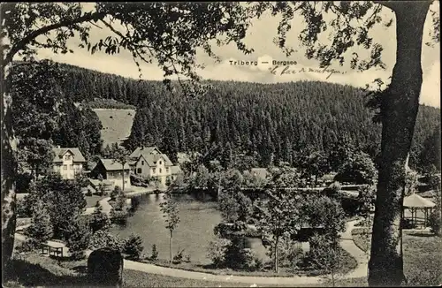 Ak Triberg im Schwarzwald, Teilansicht vom Ort mit Blick auf den Bergsee