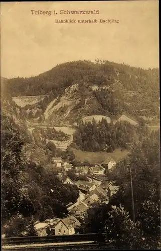 Ak Triberg im Schwarzwald, Totalansicht vom Ort, Bahnblick unterhalb Bachjörg