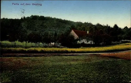 Ak Wellingholzhausen Melle in Niedersachsen, Partie auf dem Beutling, Fachwerkhaus