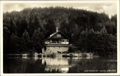 Ak Kaisersbach in Baden Württemberg, Hotel Ebnisee, Außenansicht, See, Wald, Pferdekutsche