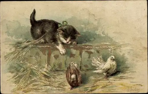Präge Künstler Ak Kätzchen auf einer Mauer belauert Tauben, Katze, Schleife
