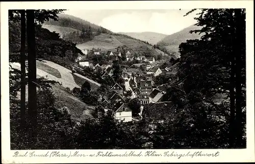 Ak Bad Grund im Harz, Moorbad, Fichtennadelbad, Wohnhäuser, Landschaft