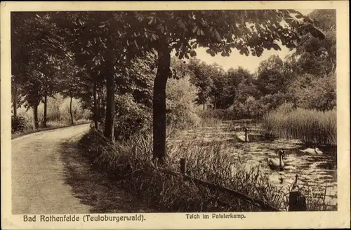 Ak Bad Rothenfelde am Teutoburger Wald, Teich im Palsterkamp, Schwäne, Waldweg