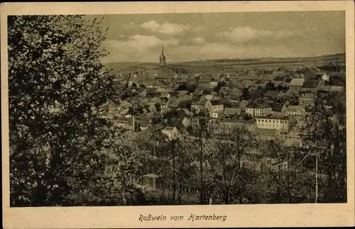 Ak Roßwein in Sachsen, Teilansicht vom Ort mit Kirche, Blick vom Hartenberg