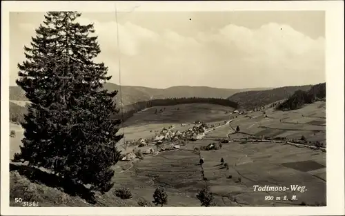 Ak Todtmoos im Hochschwarzwald, Panorama vom Ort, Hügellandschaft