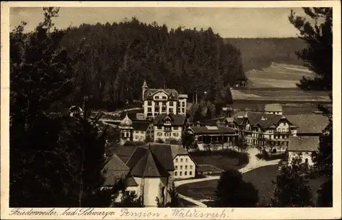 Ak Friedenweiler im Hochschwarzwald, Pension Waldesruh, Panorama vom Ort