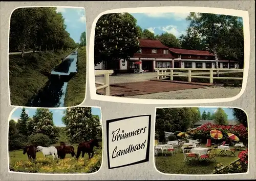 Ak Friedrichsdorf Langenhausen Gnarrenburg in Niedersachsen, Brümmers Landhaus, Shetland Ponys