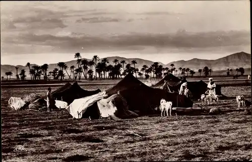 Ak Maghreb, Campement de Nomades, Zeltlager, Hunde 