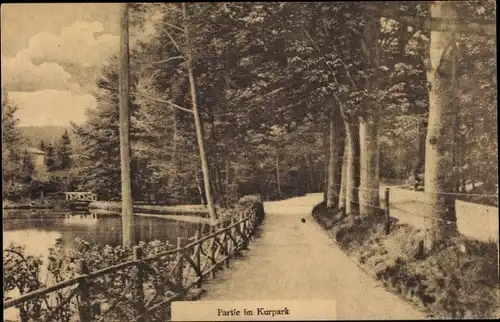 Ak Bad Freienwalde an der Oder, Partie im Kurpark, Teich, Weg