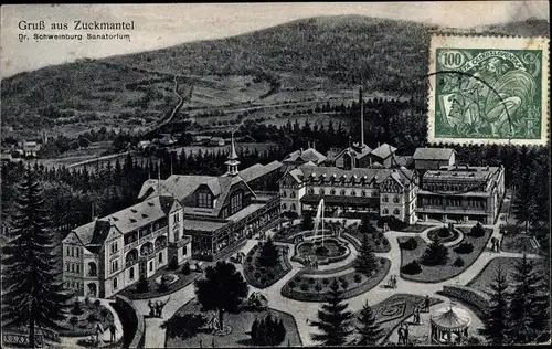 Künstler Ak Zlaté Hory Zuckmantel Reg. Olmütz, Dr. Schweinburg Sanatorium, Panorama