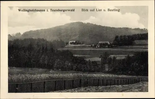 Ak Wellingholzhausen Melle in Niedersachsen, Liet, Beutling, Panorama vom Ort