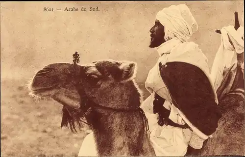 Ak Maghreb, Scenes et Types, Arabe du Sud, Araber auf einem Kamel, Turban