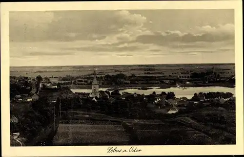 Ak Lebus an der Oder, Panorama vom Ort