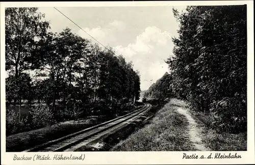 Ak Buckow in der Märkischen Schweiz, Strecke der Kleinbahn, Waldpartie