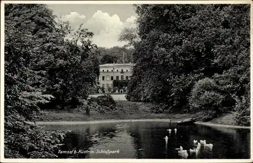 Ak Dąbroszyn Tamsel Ostbrandenburg, Schlosspark, Teich, Schloss