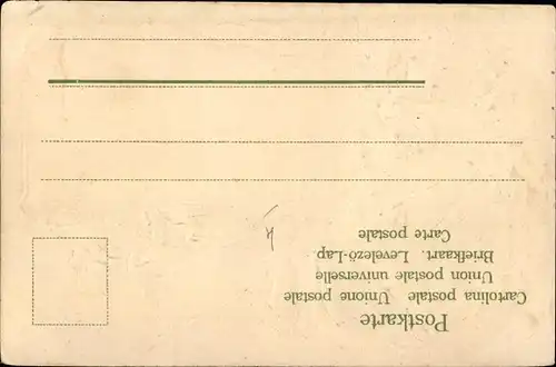 Präge Passepartout Ak Zürich Stadt Schweiz, Post und Stadthaus, Flagge, Eichenlaub