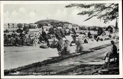 Ak Altenberg im Osterzgebirge, Kirche, Geisingberg, Ortspanorama