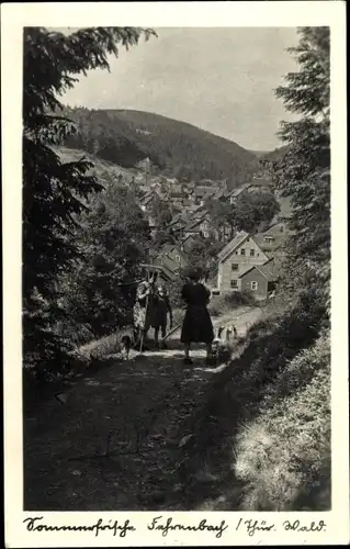 Ak Fehrenbach Masserberg im Thüringer Schiefergebirge, Teilansicht vom Ort, Waldweg, Gänsemagd