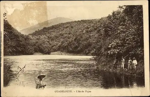 Ak Guadeloupe, L'As de Pique, Wasserpartie, Waldlandschaft