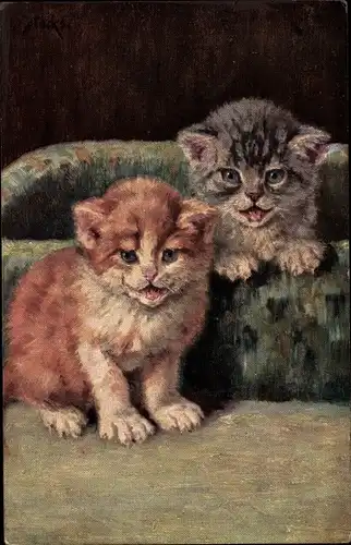 Künstler Ak Mack, M., Zwei Hauskatzen, Kitten, Korb