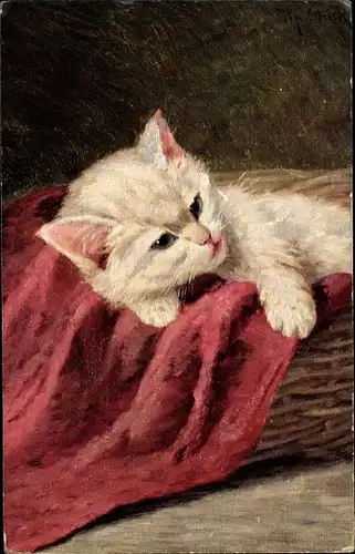 Künstler Ak Mack, M., Weiße Hauskatze, Kitten, Korb, Rote Decke
