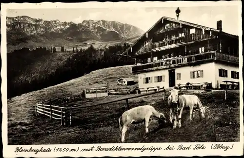 Ak Bad Tölz im Isartal Oberbayern, Blomberghaus und Benediktinenwandgruppe, Kühe