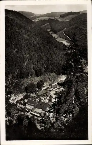 Ak Falkenstein Ludwigsstadt in Oberfranken, Brauereigaststätte, Wald, Berge