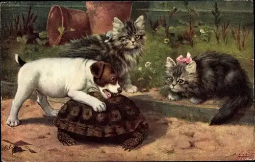 Künstler Ak Terrier beißt in Panzer von einer Schildkröte, zwei Katzen, Tuck 9537