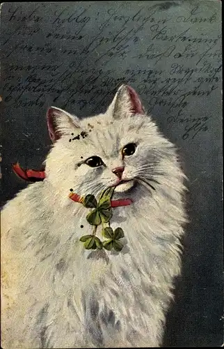 Künstler Ak Weiße Hauskatze mit Kleeblättern im Maul, Rotes Halstuch