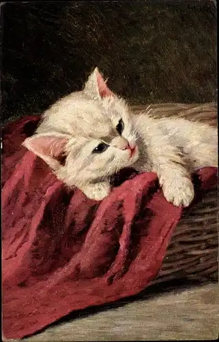 Künstler Ak Weiße Hauskatze, Rote Decke, Korb, Kätzchen, Kitten