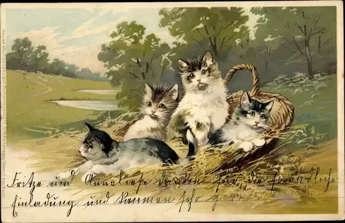 Künstler Litho Katzen, junge Kätzchen in einem Korb, Landschaftsmotiv, Meissner & Buch 1275