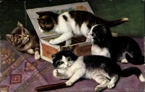 Künstler Ak Vier junge Katzen auf einer Zigarrenkiste, Zigarre