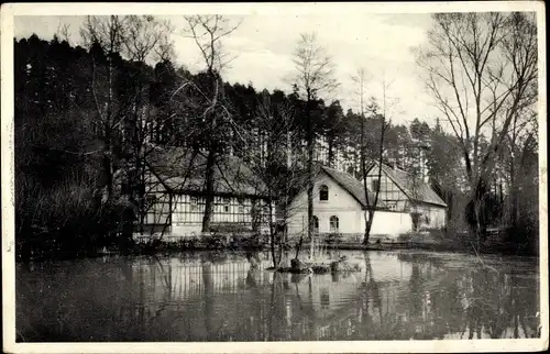Ak Eisenberg in Thüringen, Waldhaus Naupoldsmühle 