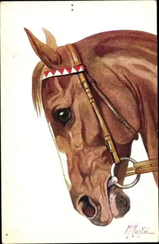 Künstler Ak Cavallo Arabo, Pferdeportrait, braunes Pferd mit Zaumzeug