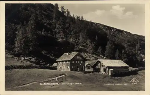 Ak Abtenau in Salzburg, Zwieselalpe, Salzkammergut